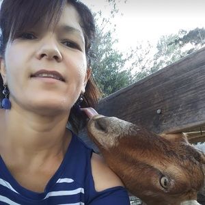 Meet your Posher, Bertha